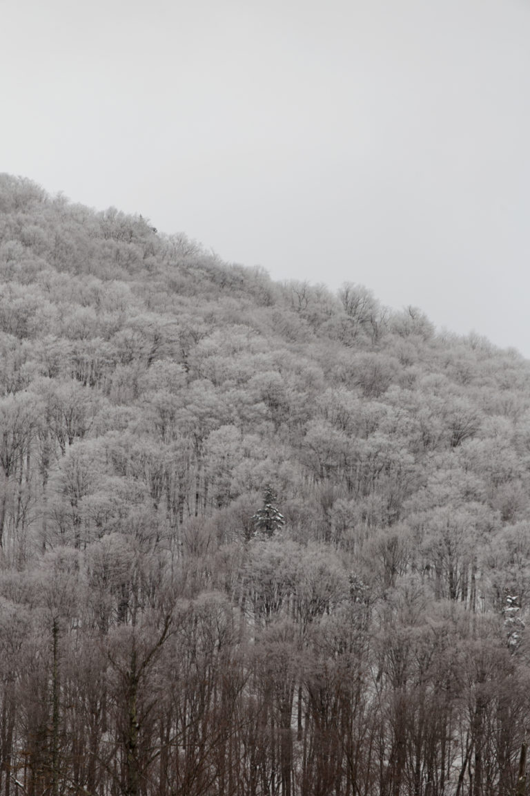 Frosted Landscape