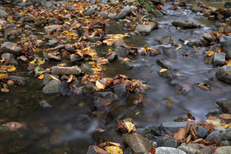 Shallow Fall Stream