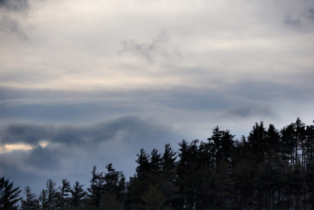 Painterly Clouds with Forest Silhouette