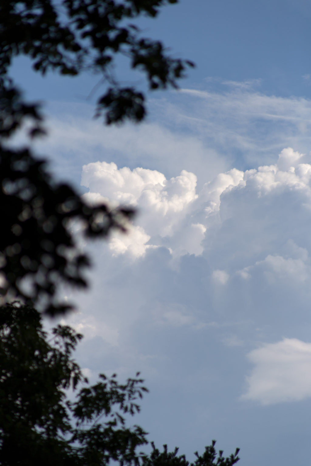 Puffy Clouds in the Distance