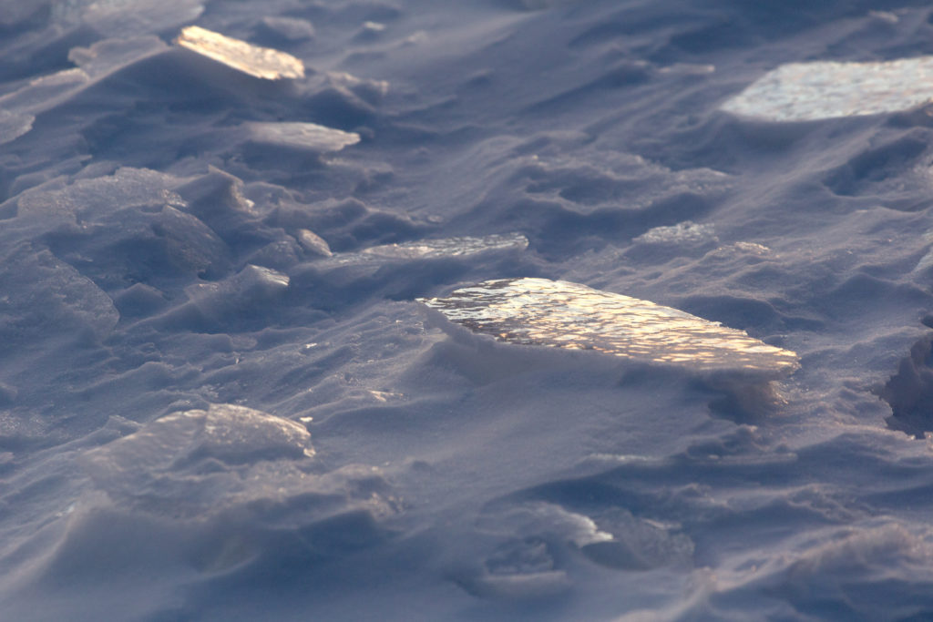 Sun and Shadows on Snow