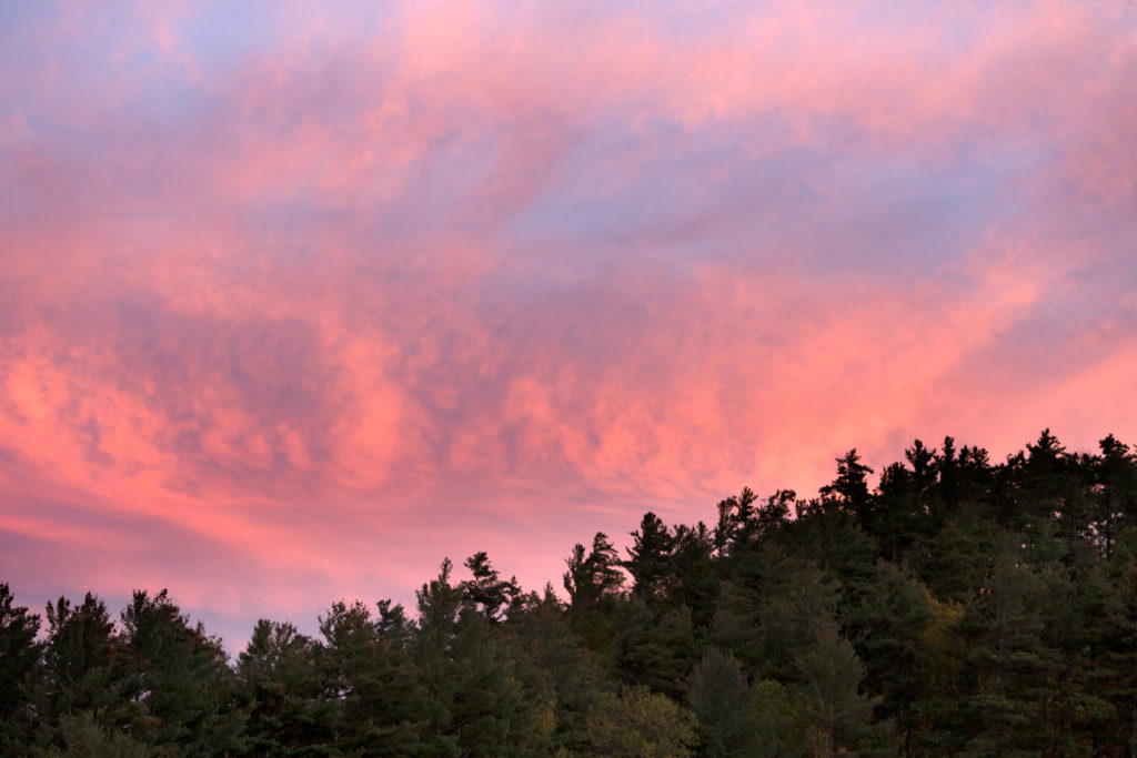 Cotton Candy Sky