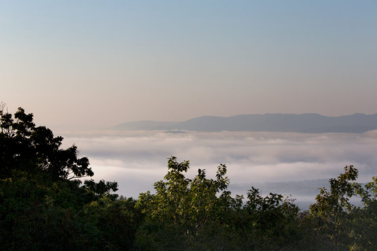 Foggy Subtle Sunrise