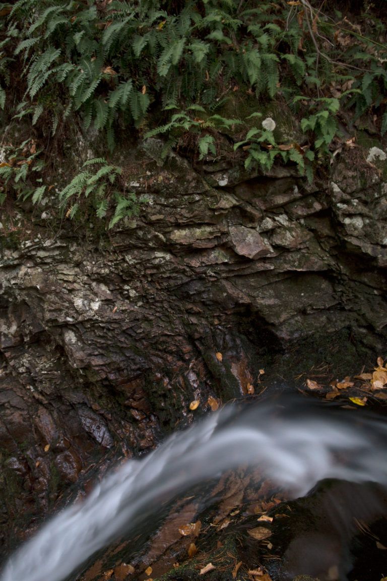 Tiny Rushing Brook