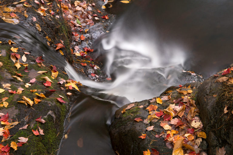 Misty Autumn Stream