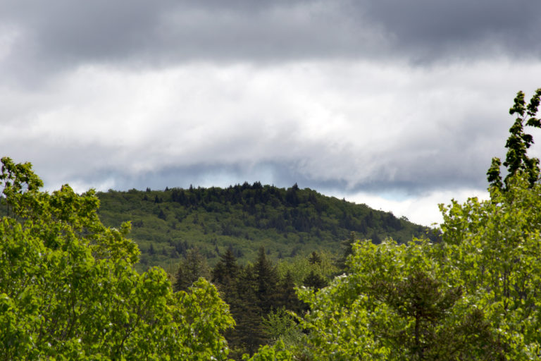 Green Hill in the Distance