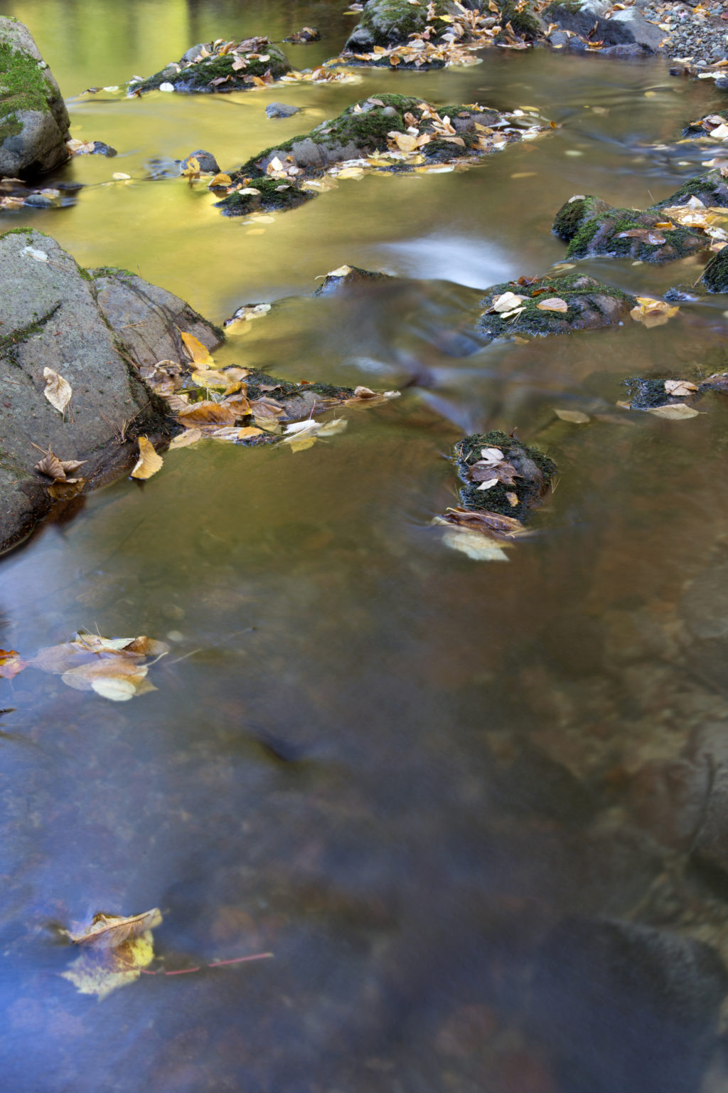 Looking Downstream