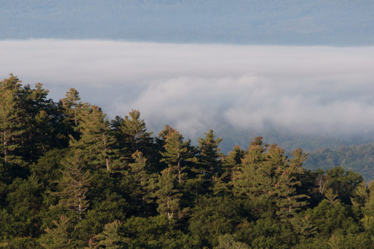 Thick Fog in the Distance