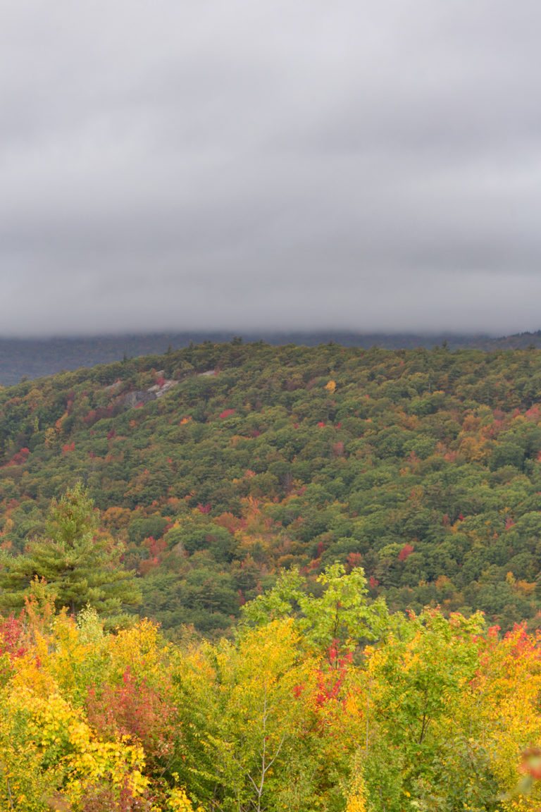 Early Fall Landscape Under Thick Clouds