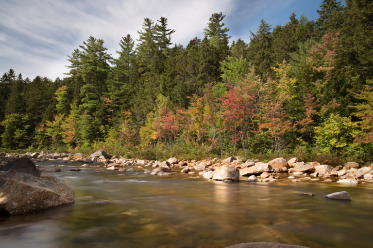 Rugged River’s Edge