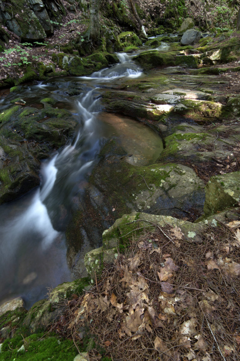 Small Stream Passing Over Mossy Rocks