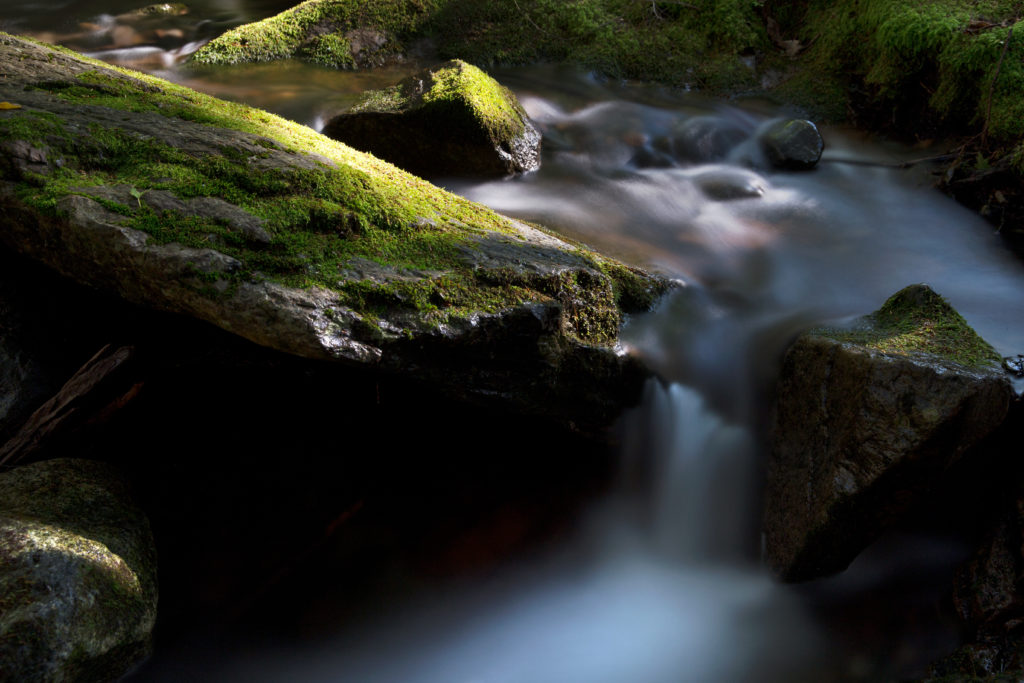 Cool, Misty Stream