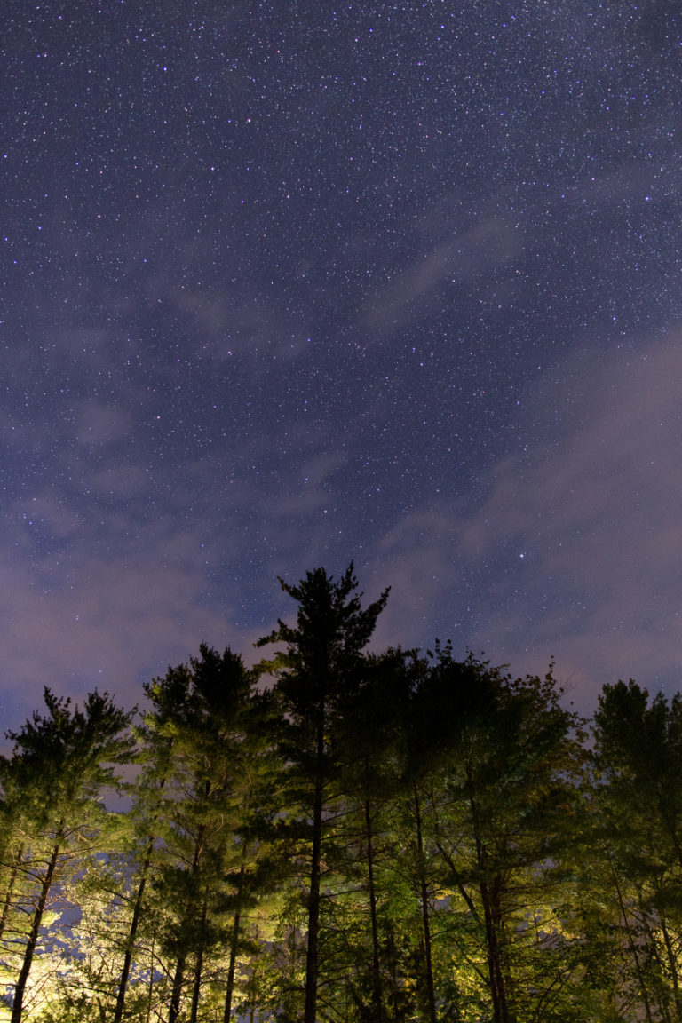 Backlit Forest Against Night Sky