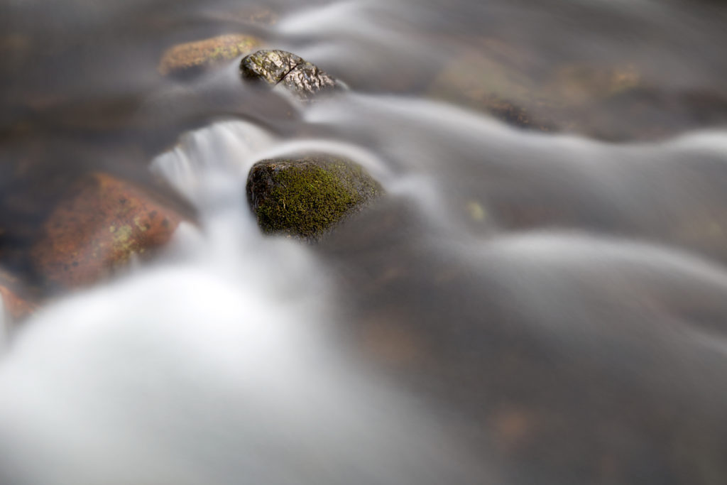 Misty Summer Stream