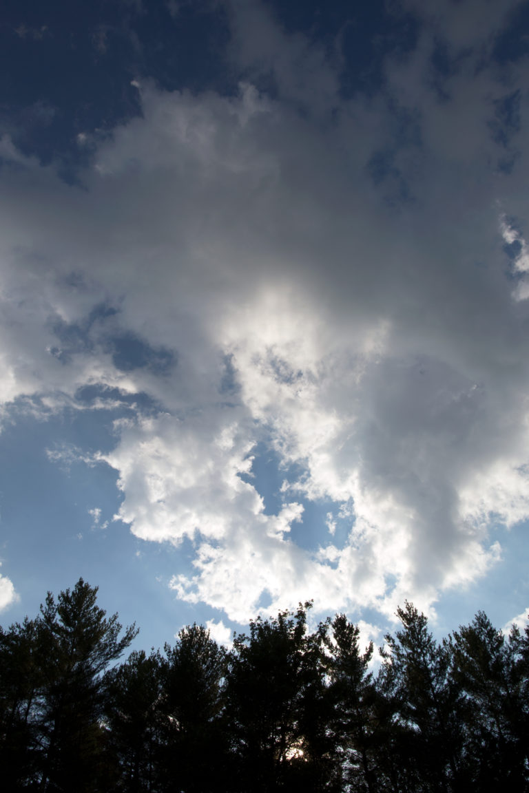 White Clouds Moving Over Silhouetted Trees