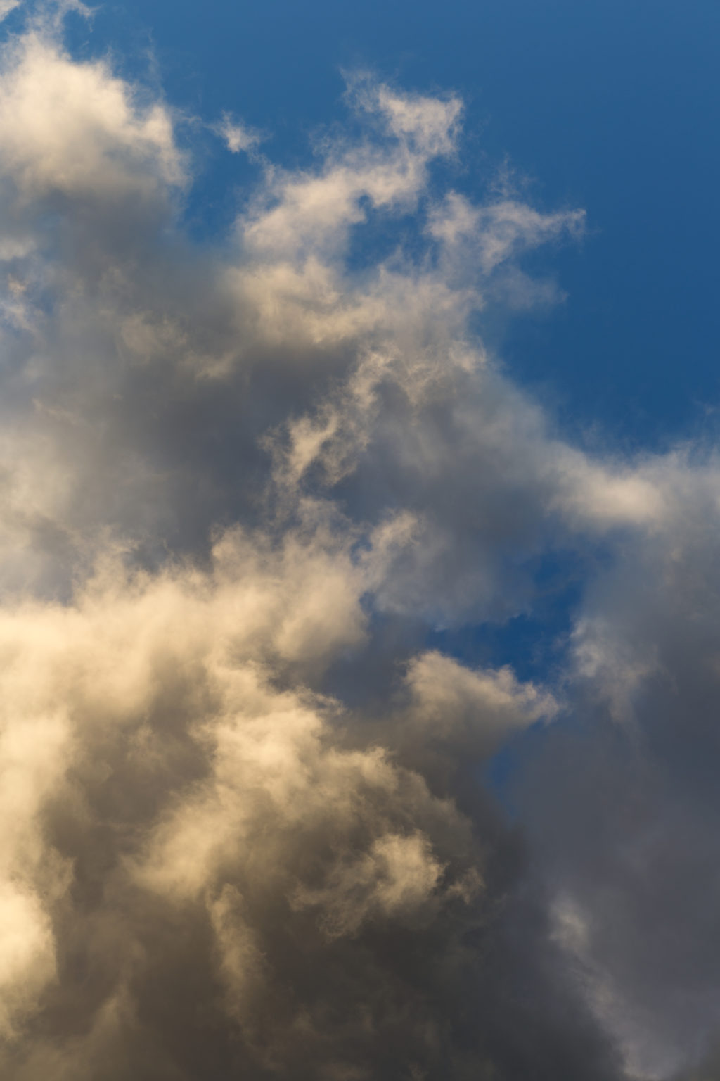 Warm Puffy Clouds