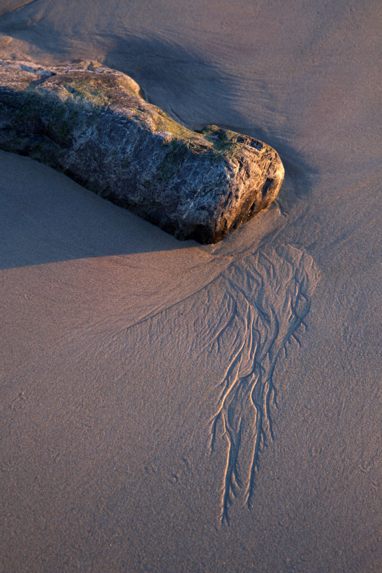 Sand Trails