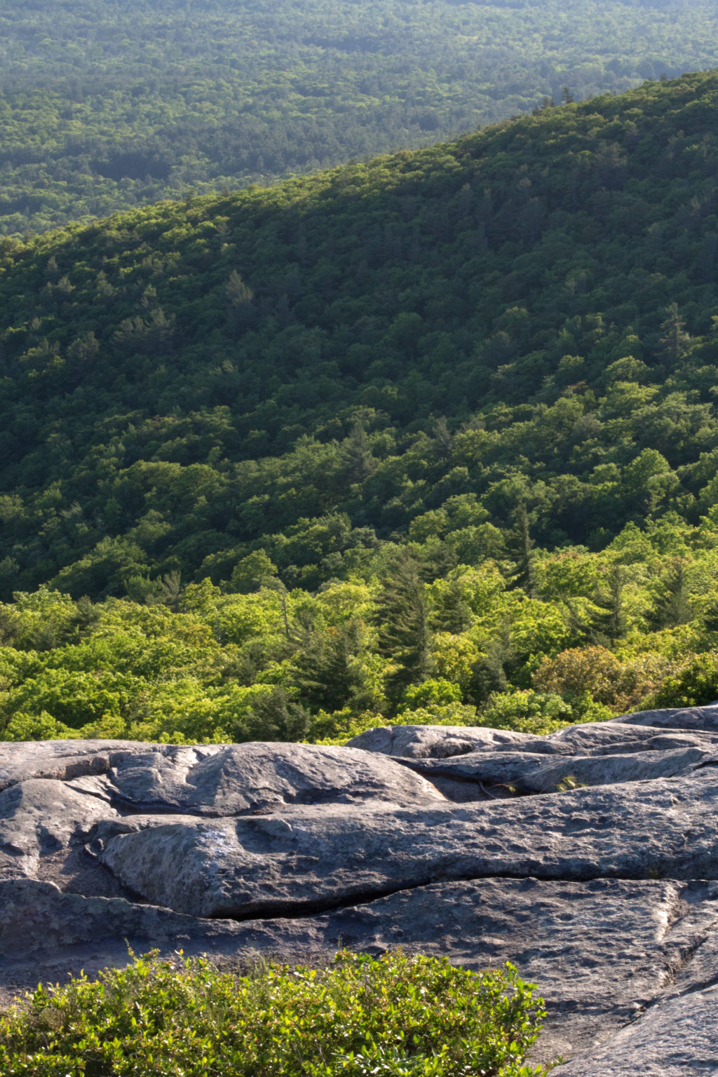 Rocky Outlook on Mountainside