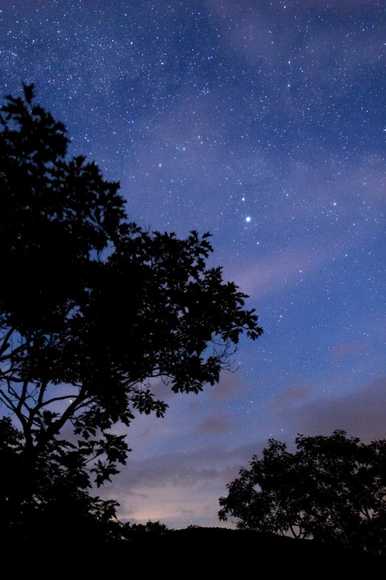 Nighttime Silhouette