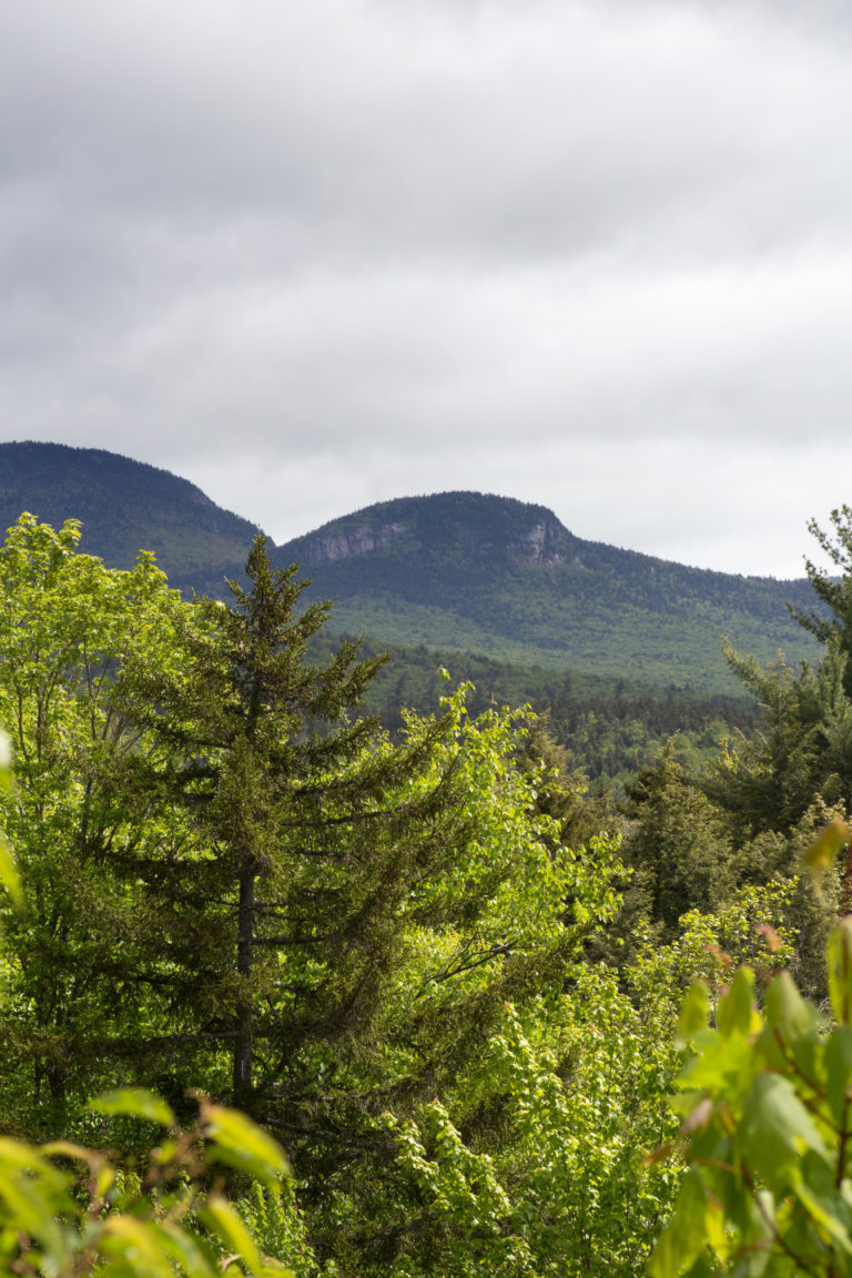 Rolling Green Mountains in the Distance