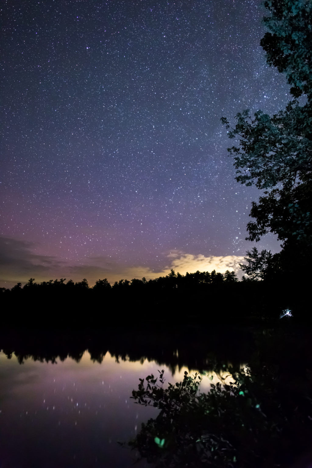 Summer Night Reflections