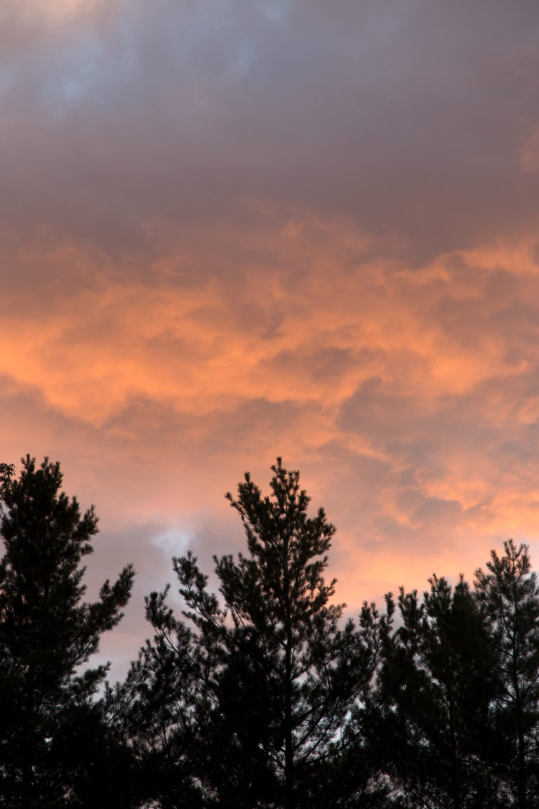 Cotton Candy Clouds