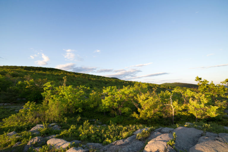 View Along a Hike