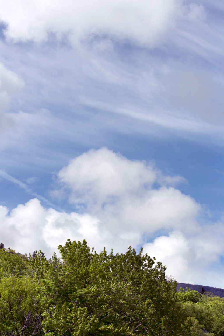 Wispy Clouds Over Greenery