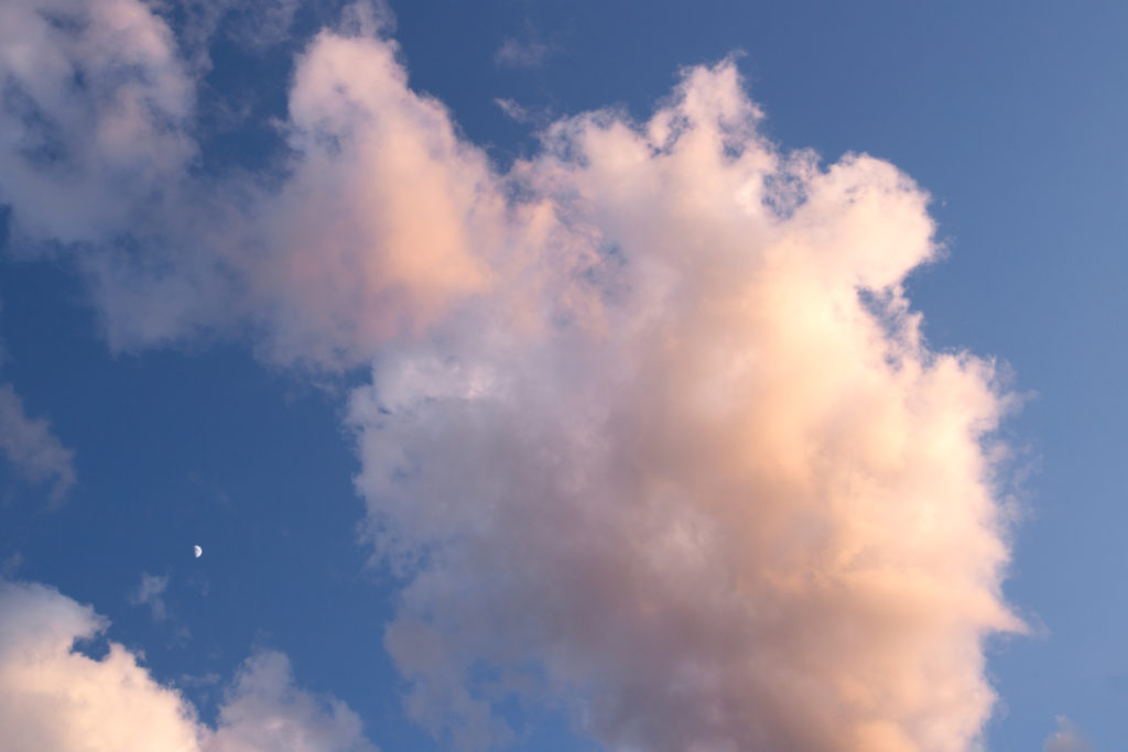 Pale Pink Puffy Cloud