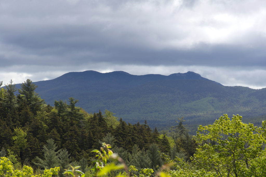 Summertime Mountain Range in Distance