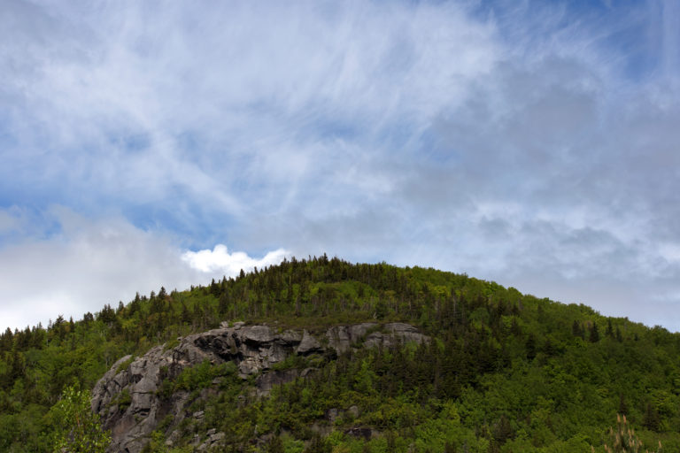 Green Mountaintop