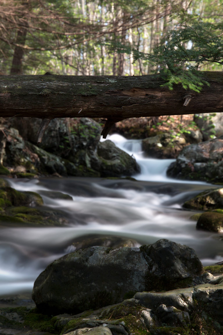 Natural Log Bridge Over Stream