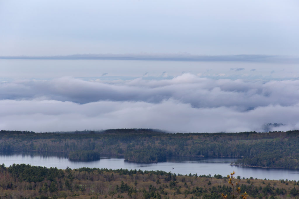 Low Fog Blanket