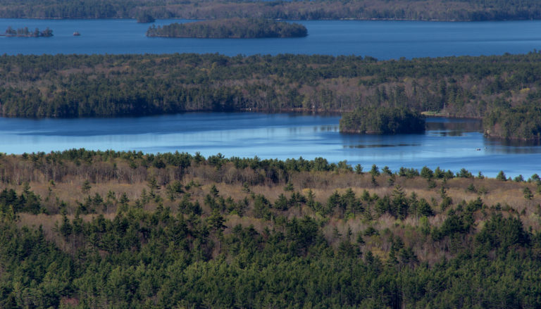 Big Islands on the Lake in Summer