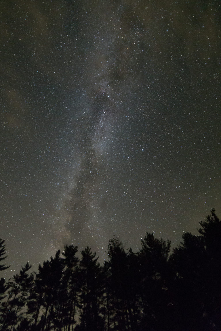 Milky Way Rising from the Forest