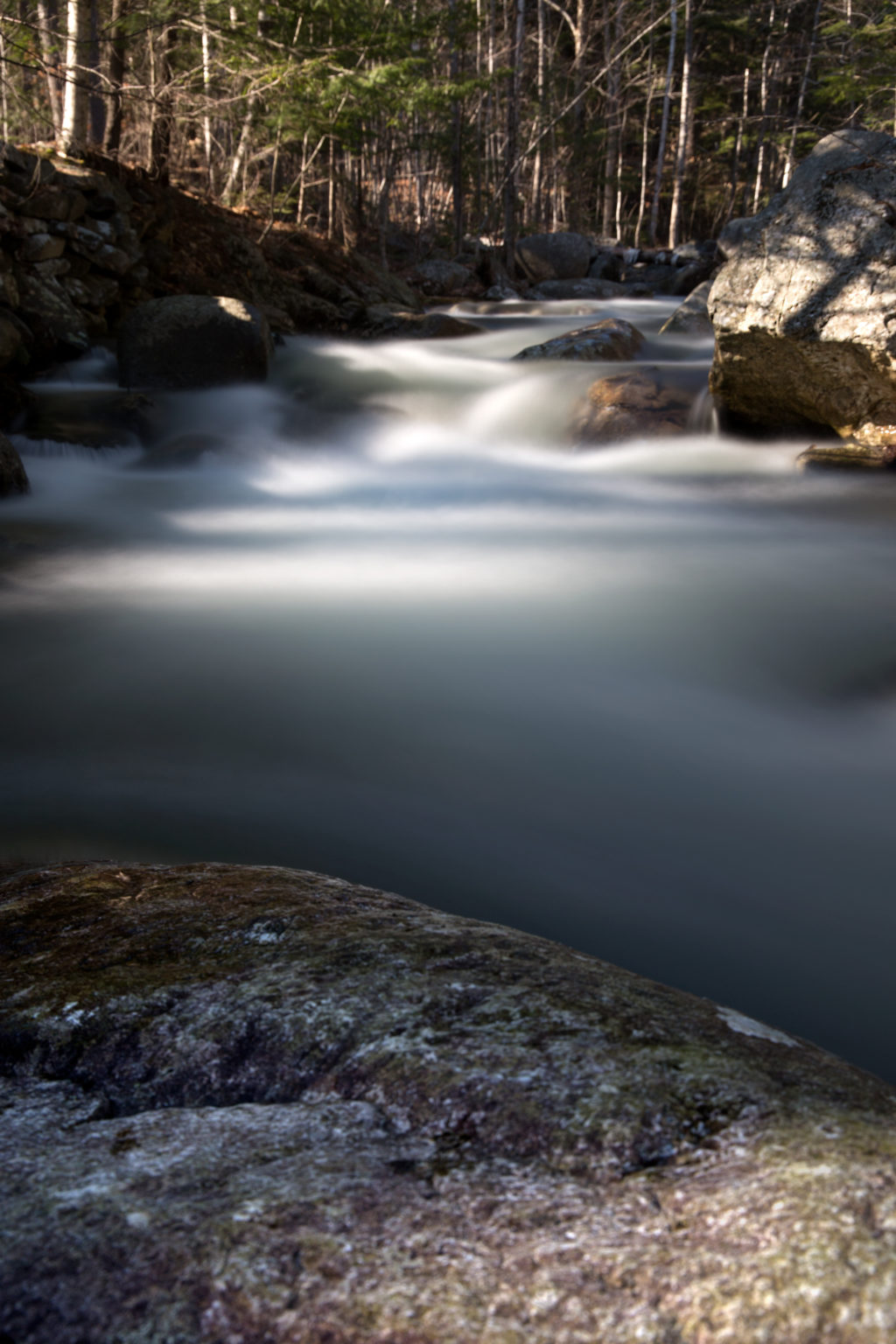 Sunny Glow on Rushing Stream