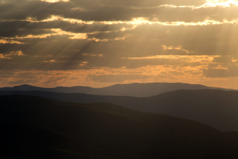 Warm Summer Rays