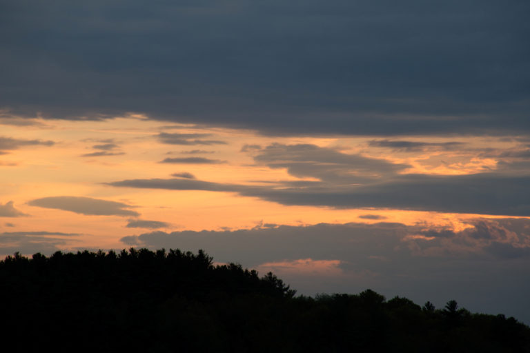 Dusk Clouds and Tree Silhouettes