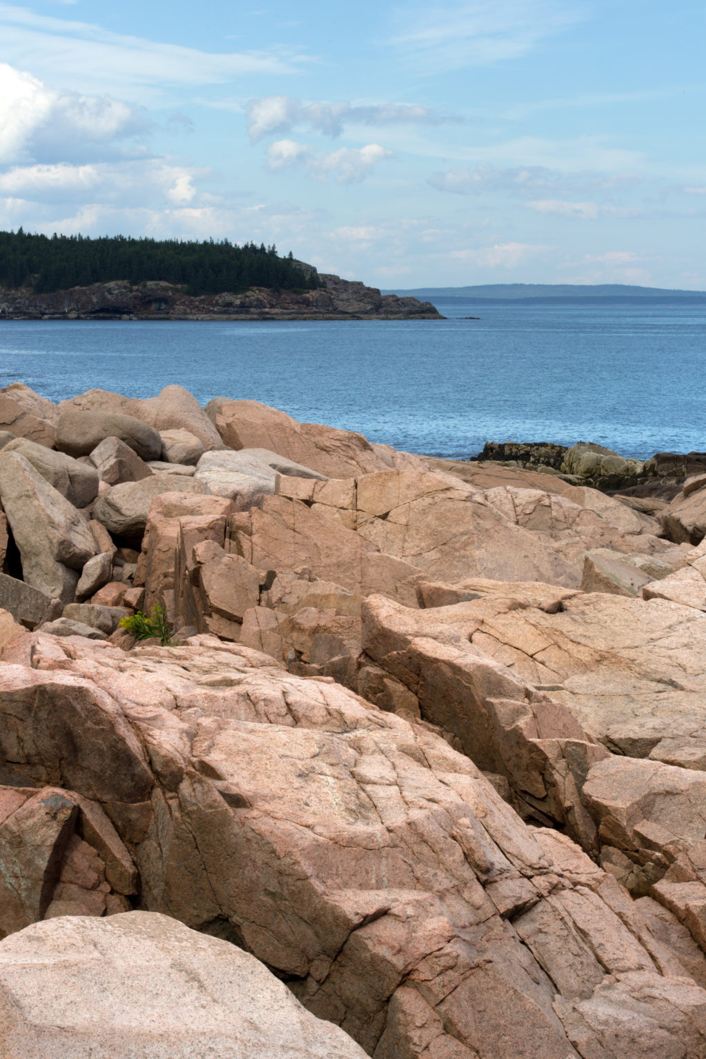 Rocky Rugged Coast