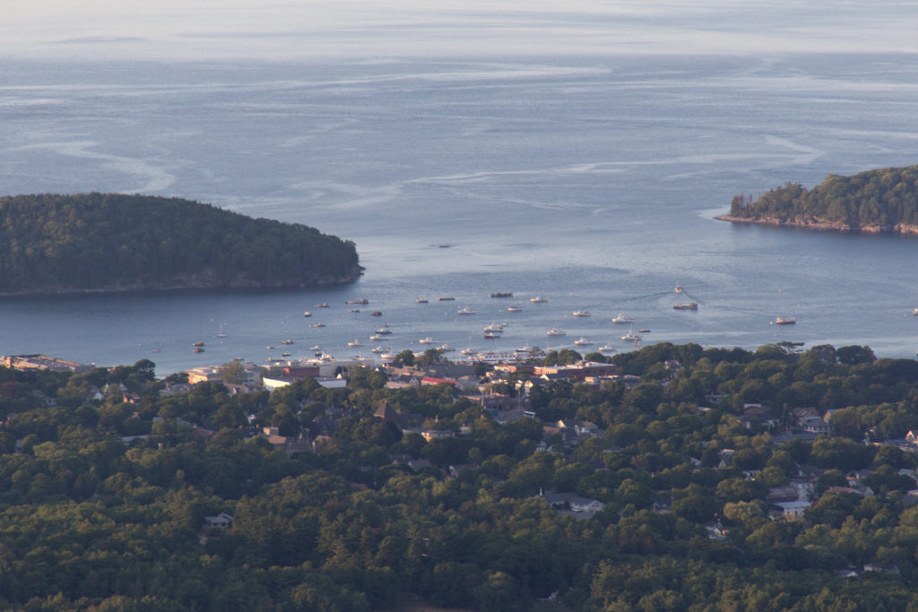 Busy Harbor in the Distance