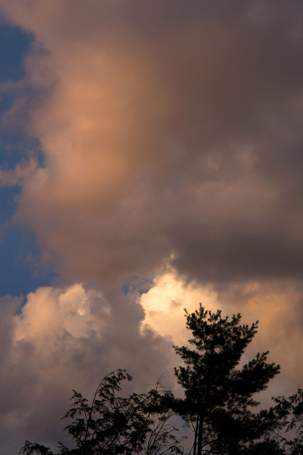 Thick Summer Clouds