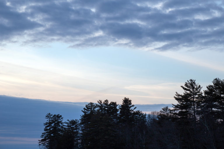 Cool Blue Sky Over Tree Silhouettes