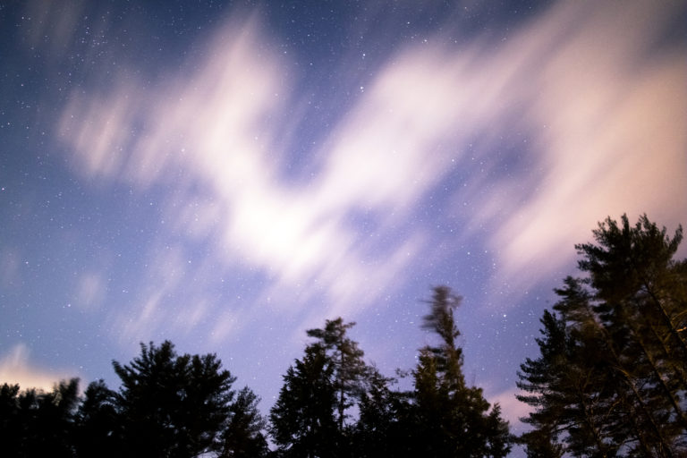 Blurry Clouds Over Dark Trees