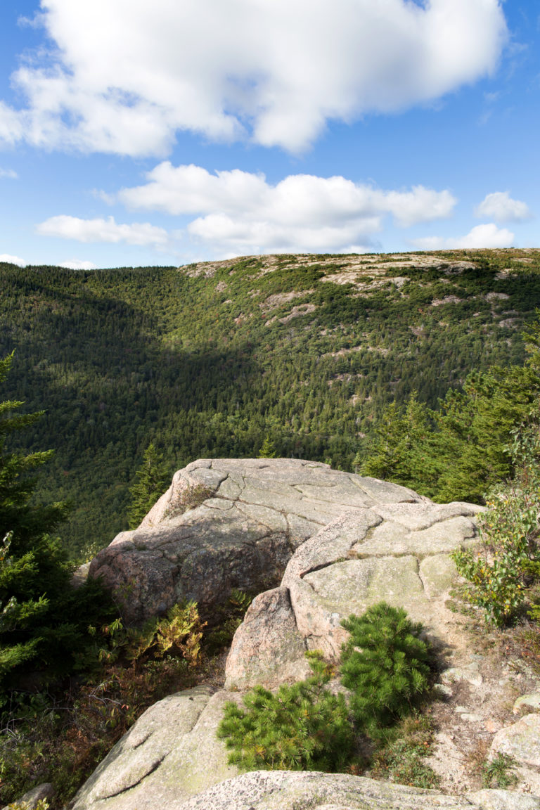 Warm Summer Landscape