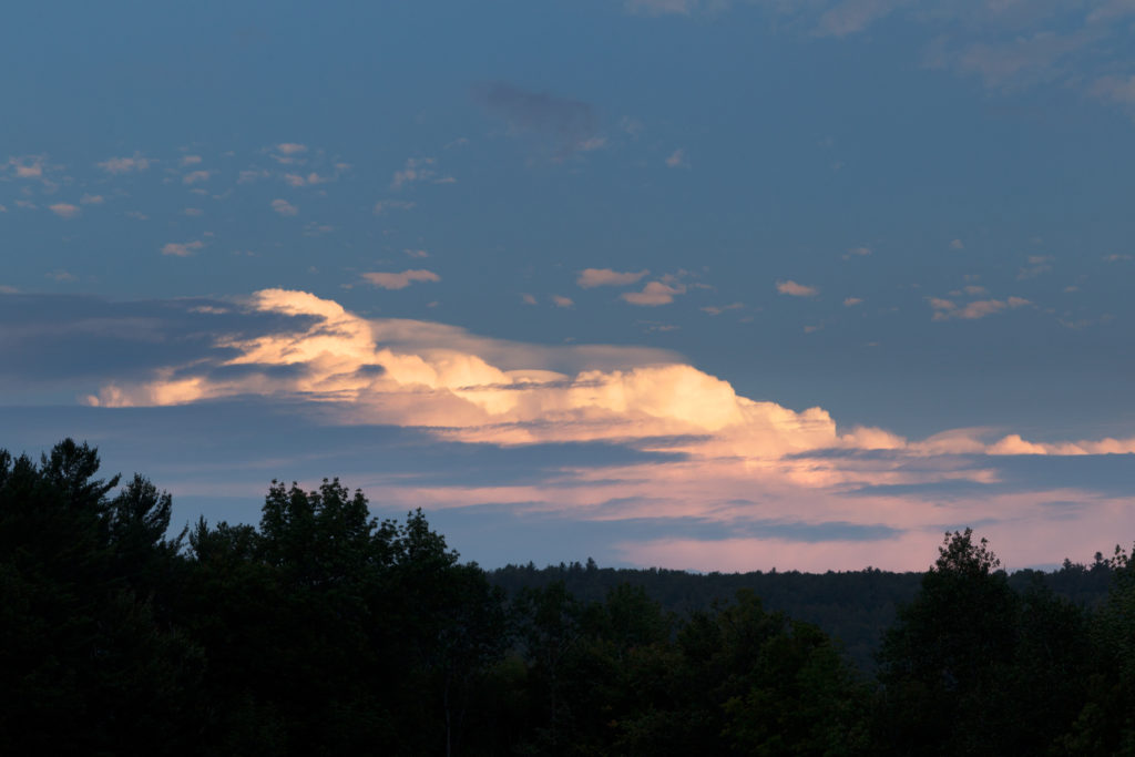 Thin Golden Clouds Over Tree Silhouettes