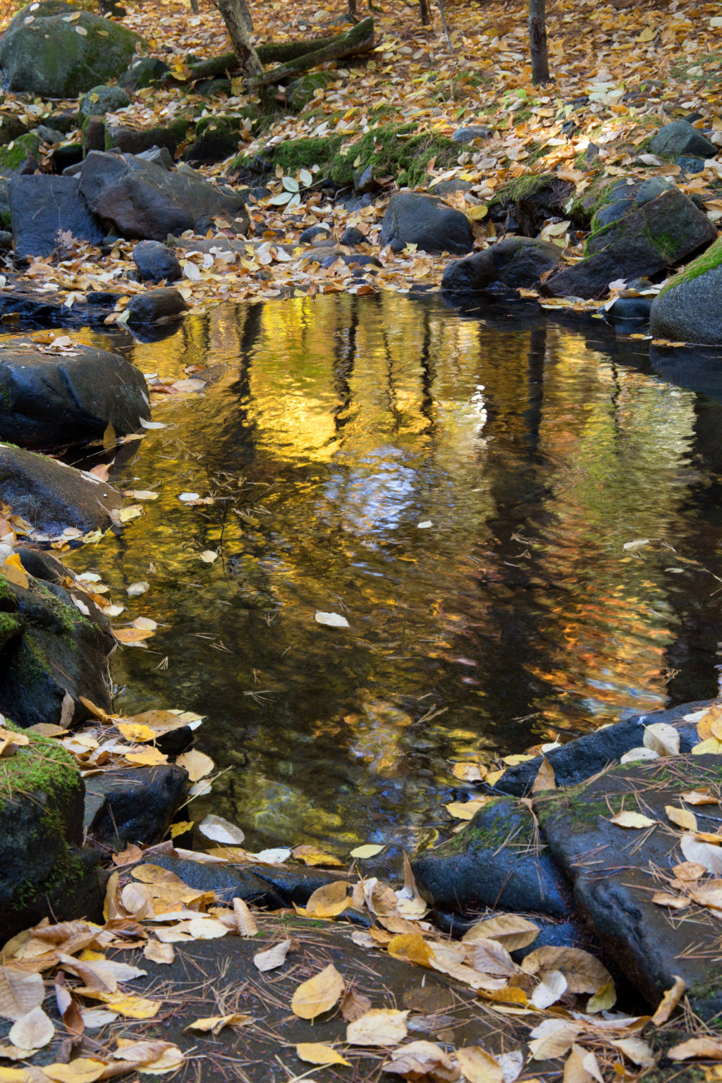 Peaceful Autumn Reflections