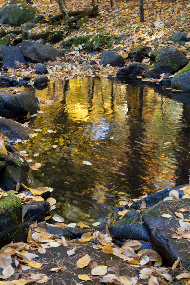 Peaceful Autumn Reflections