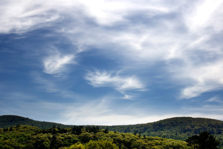 Hilly Summer Landscape