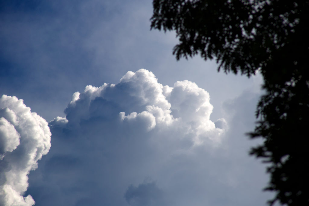 Rolling Puffy Clouds and Tree Silhouette