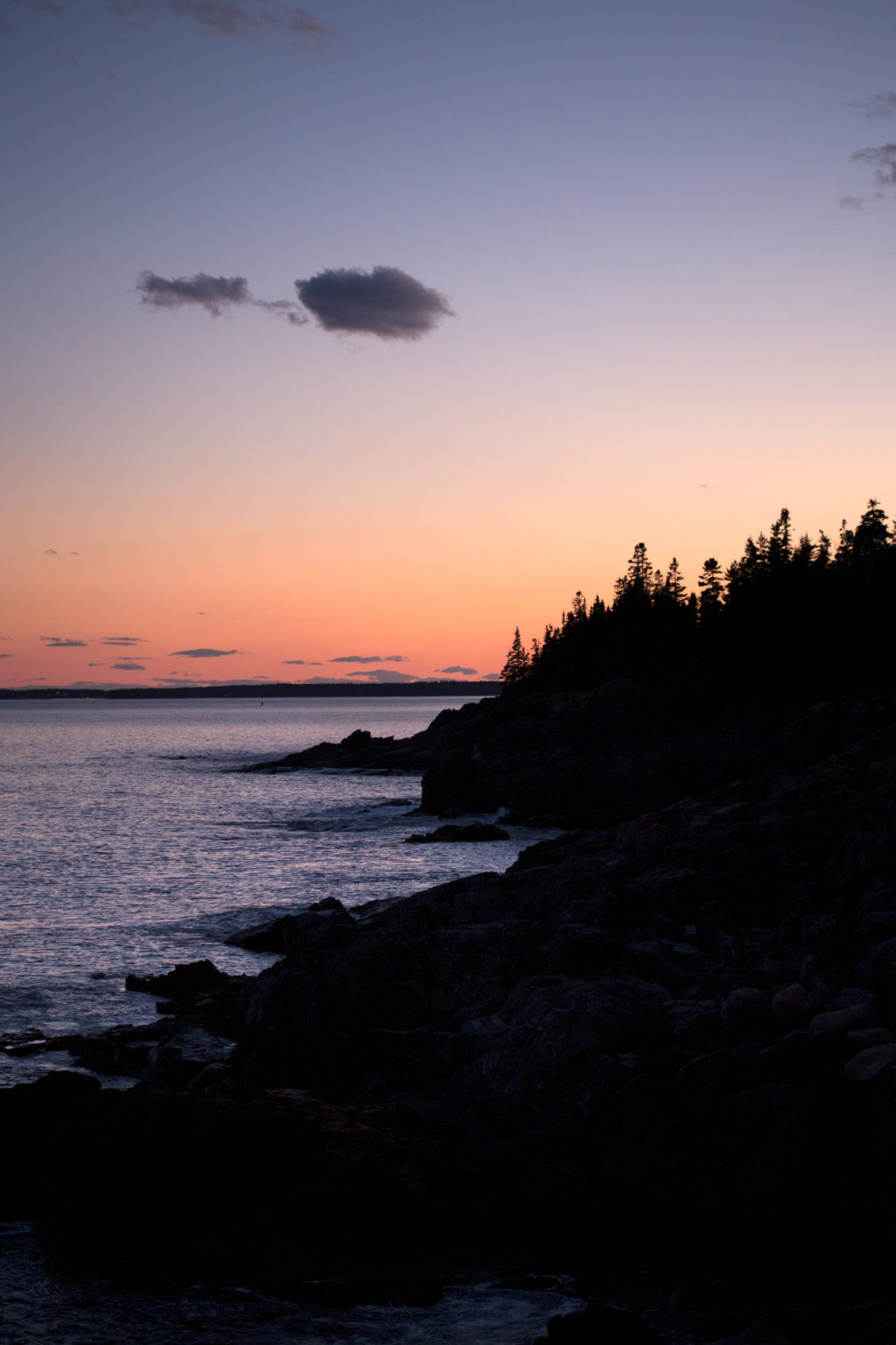 Coastline Silhouette